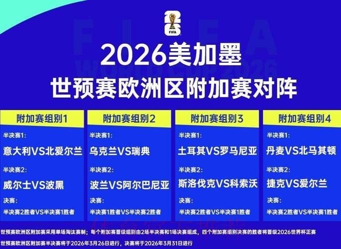 2026世界杯外围赛事最新动态解析